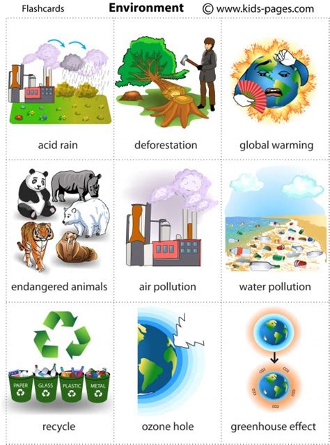 Environment Management and Protection Flashcards .
